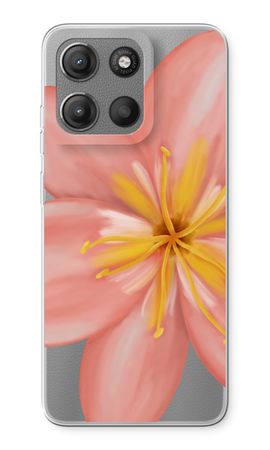 Pink Ellila Flower