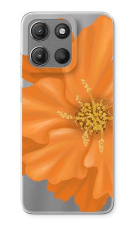 Orange Ellila flower