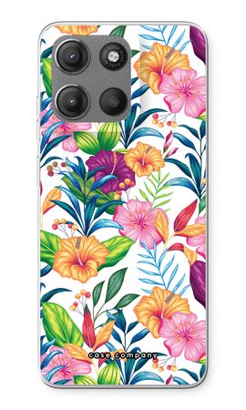 Tropical 2