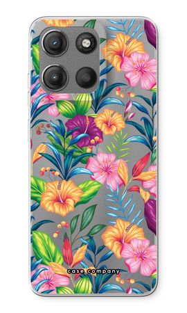 Tropical 2