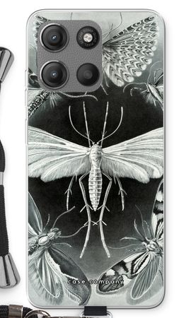 Haeckel Tineida