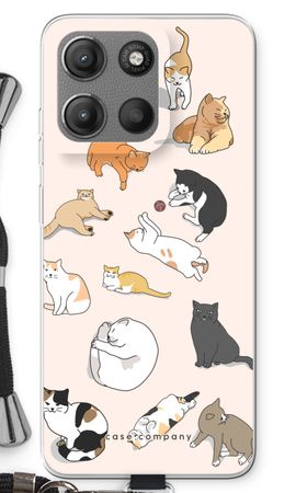 Cats