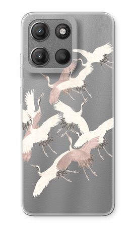 Japanese Crane Birds