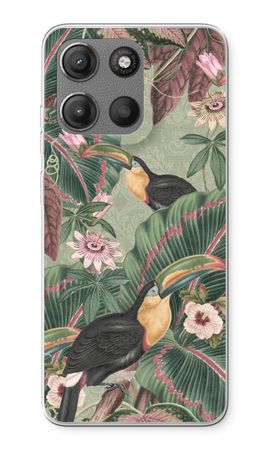 Tropical jungle toucan