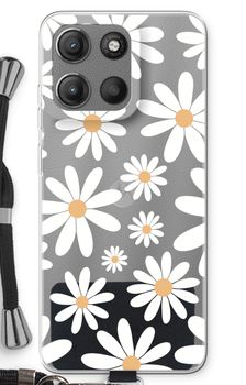 Encore des marguerites