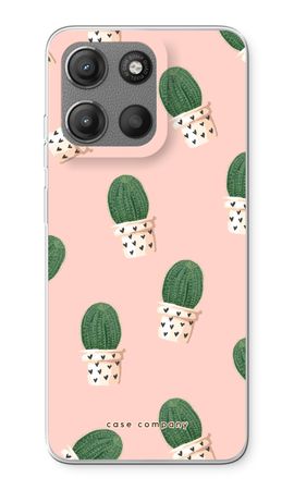 Cactus rose