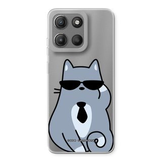 Cool katt