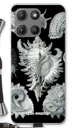 Haeckel Prosobranchia