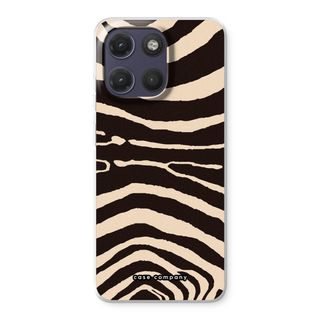 Arizona Zebra