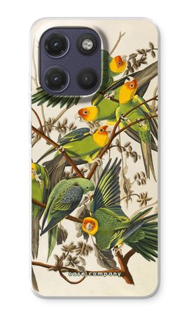 Carolina Parrot