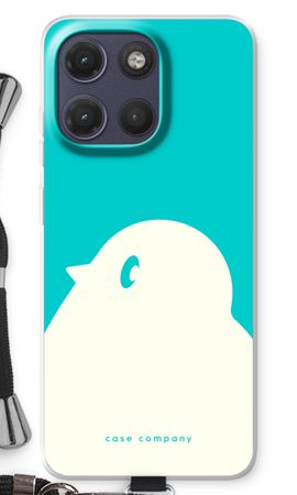 BIG Robin 2