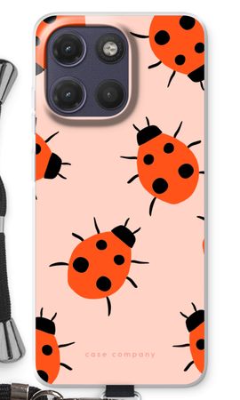 Ladybugs