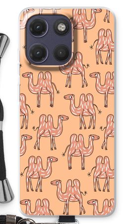 Camel