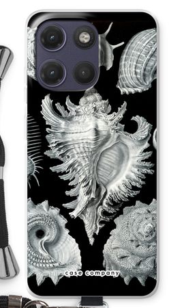Haeckel Prosobranchia