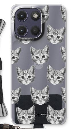 Kitten