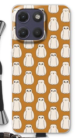 Owls