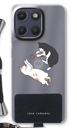 Playing cats