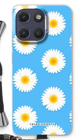 Marguerites