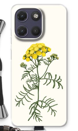 Tansy