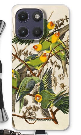 Carolina Parrot