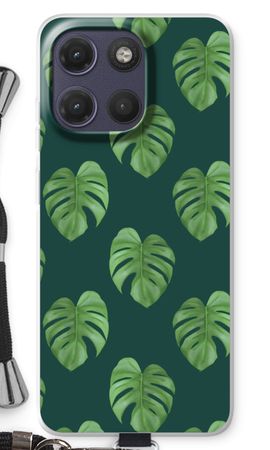 Monstera leaves