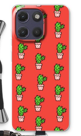 Mini cactus