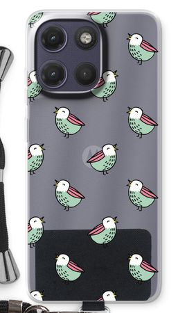 Little birds