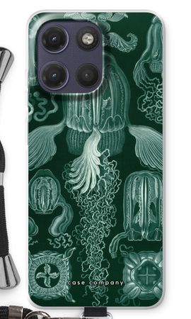 Haeckel Cubomedusae