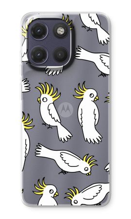 Parrot