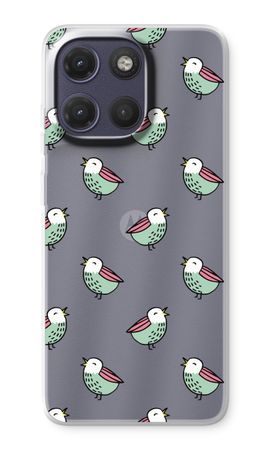 Little birds