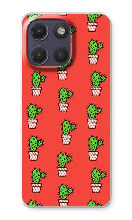 Mini cactus