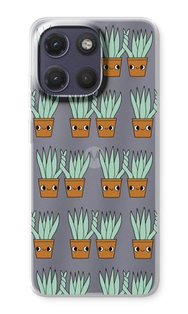 Sansevieria