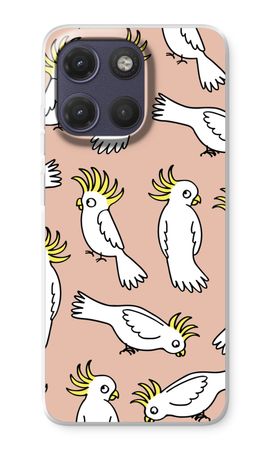 Parrot