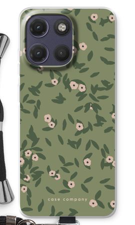 Olive Bloom