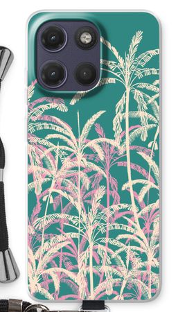Tropical Palms
