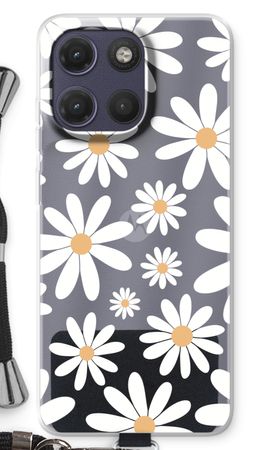 Encore des marguerites