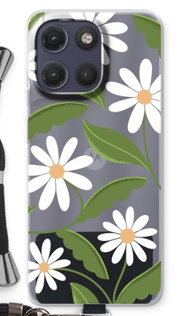 Des marguerites partout