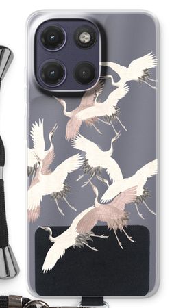 Japanese Crane Birds