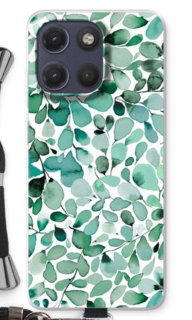 Eucalyptus à feuilles