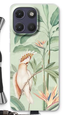 Tropical Parrot
