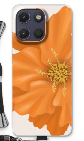 Orange Ellila flower