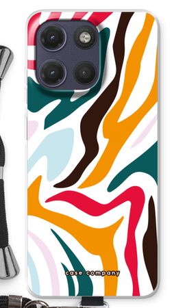Colored Zebra