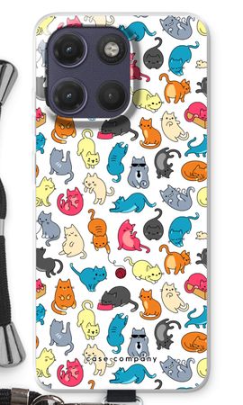 Colourful cats