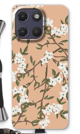 Blossoming spring
