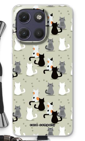 Cats