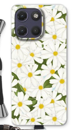 Summer Daisies