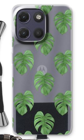 Monstera leaves