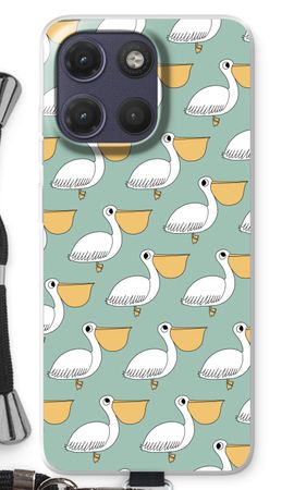 Pelican