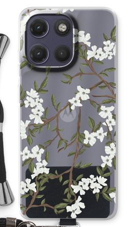 Blossoming spring