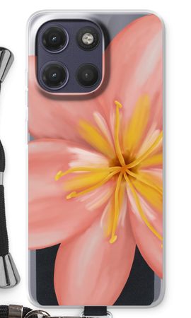 Pink Ellila Flower